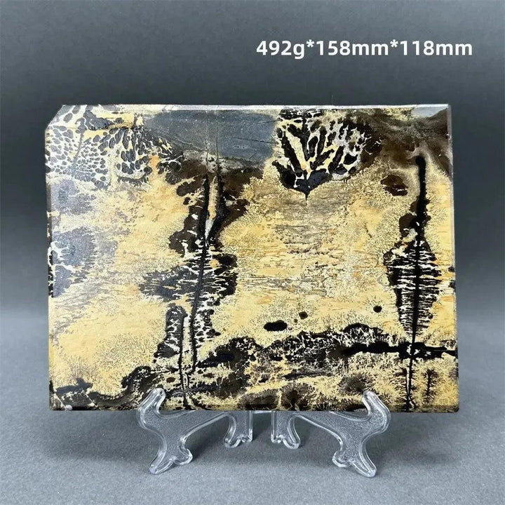 Polished Picture Jasper slice from Crystal Destiny, featuring natural landscape patterns in cream, sand, and deep brown on a clear stand.