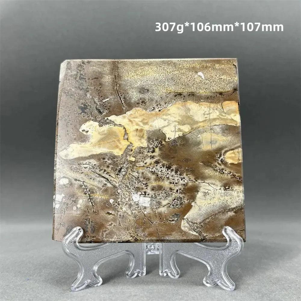 Polished Picture Jasper slice with natural brown, cream, and ochre landscape patterns on a clear stand from Crystal Destiny.
