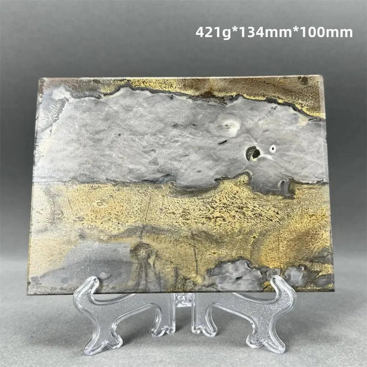 Polished Picture Jasper slice with landscape patterns in grey, gold, and brown, displayed on a clear stand.