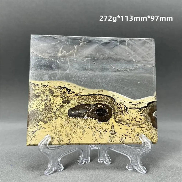 Polished Picture Jasper slice from Crystal Destiny, featuring natural landscape patterns in ochre, brown, and gray on a clear stand.