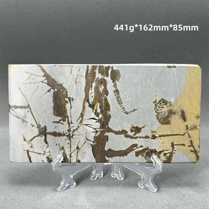 Polished Picture Jasper slice from Crystal Destiny, featuring natural brown and cream landscape patterns on a clear stand.