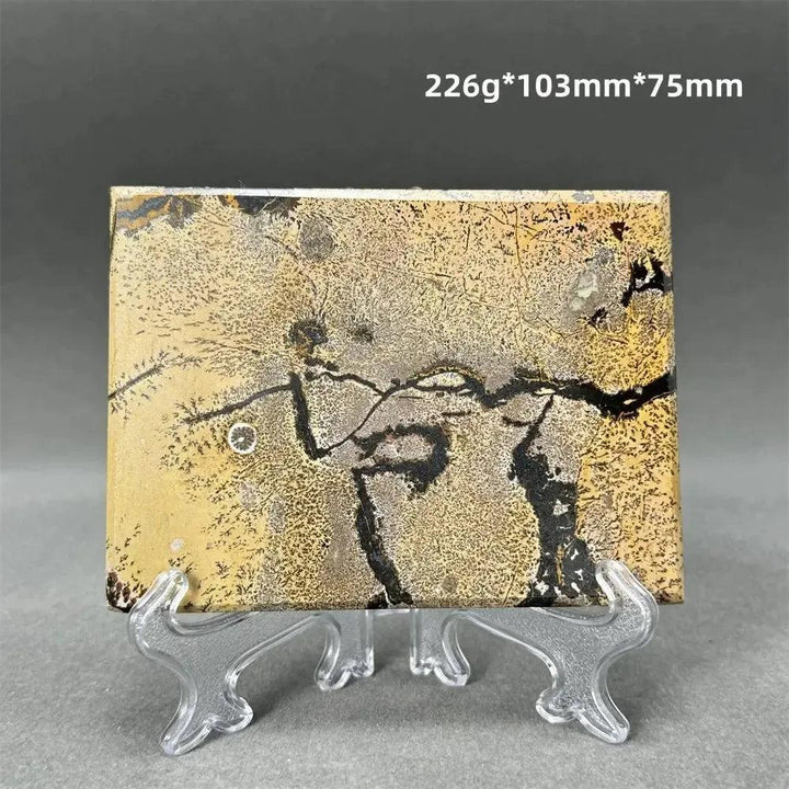 Polished Picture Jasper slice from Crystal Destiny, featuring natural landscape patterns in ochre, brown, and black on a clear stand.