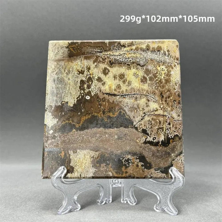 Polished Picture Jasper slice with natural landscape patterns in brown, gold, and cream, displayed on a clear stand.