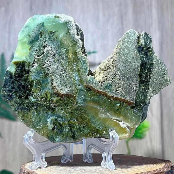 Polished Prehnite Agate slab featuring soft green and yellow tones, perfect for heart chakra balance and shelf display.