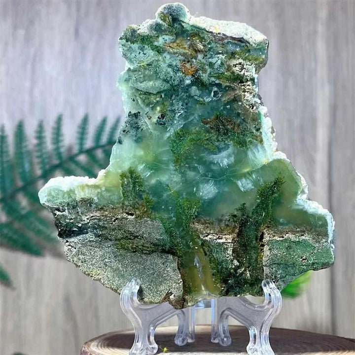 Polished Prehnite Agate slab with green, yellow, and white tones, perfect for heart chakra balance and shelf display.