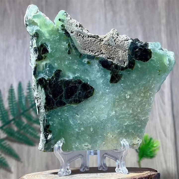 Polished Prehnite Agate slab in soft green and white, perfect for Heart Chakra balance and elegant shelf display.