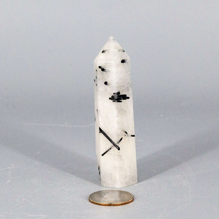Quartz w/t Black Tourmaline Tower-Towers-Crystal Destiny-Quartz / Black Tourmaline-74g - 3.25"T x 1.00"W-Crystal Destiny