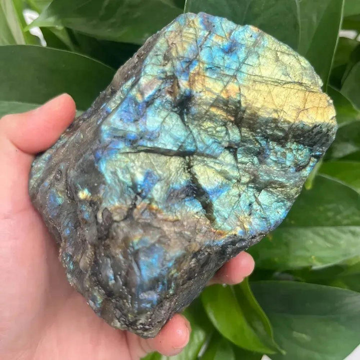 Hand holding a raw Labradorite rough crystal with vibrant blue, green, and gold flashes from Crystal Destiny.