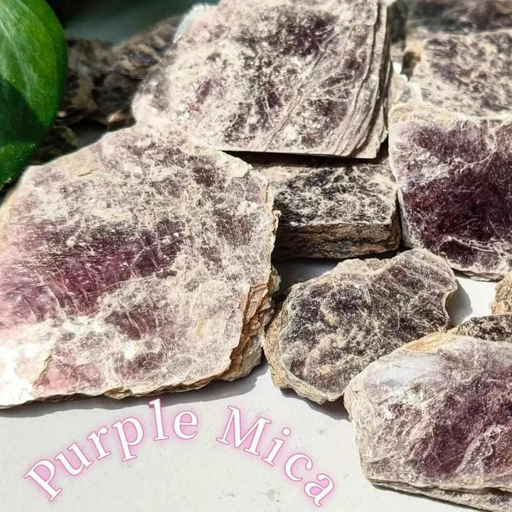 Raw Lepidolite slice featuring shimmering purple and pink mica layers for calming energy and emotional balance.