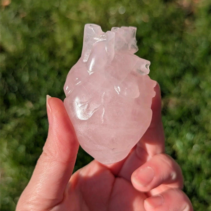 Translucent pink Rose Quartz Crystal Carved Anatomical Heart Sculpture, held in hand, promoting love and healing.