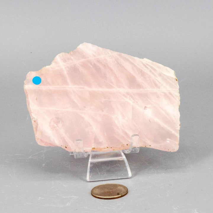 Rose Quartz Slice: Polished, translucent pink crystal with natural edges, revealing its soft glow and intimate beauty.
