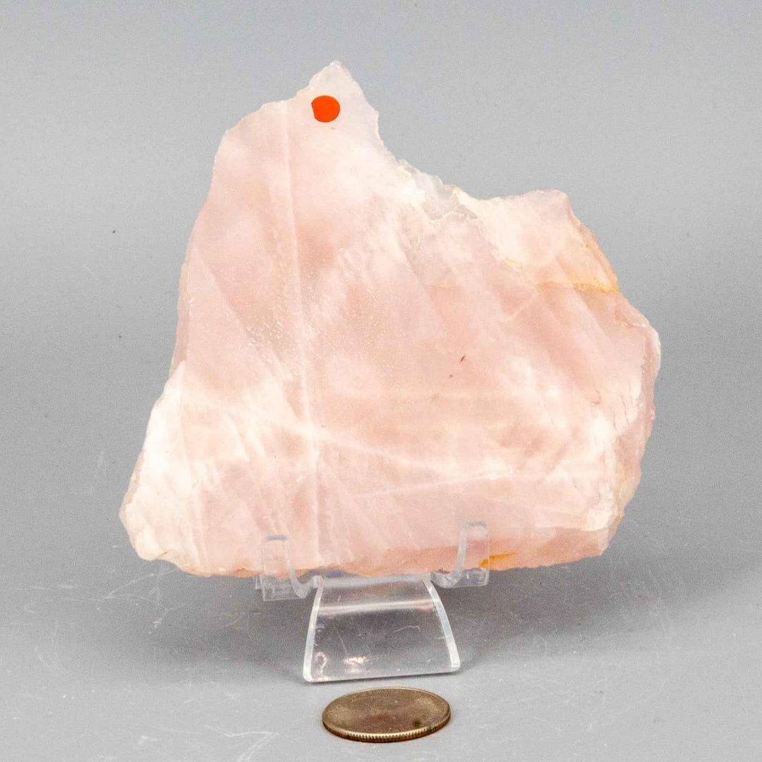 Polished Rose Quartz Slice, a translucent pink crystal with natural edges, perfect for display or healing.