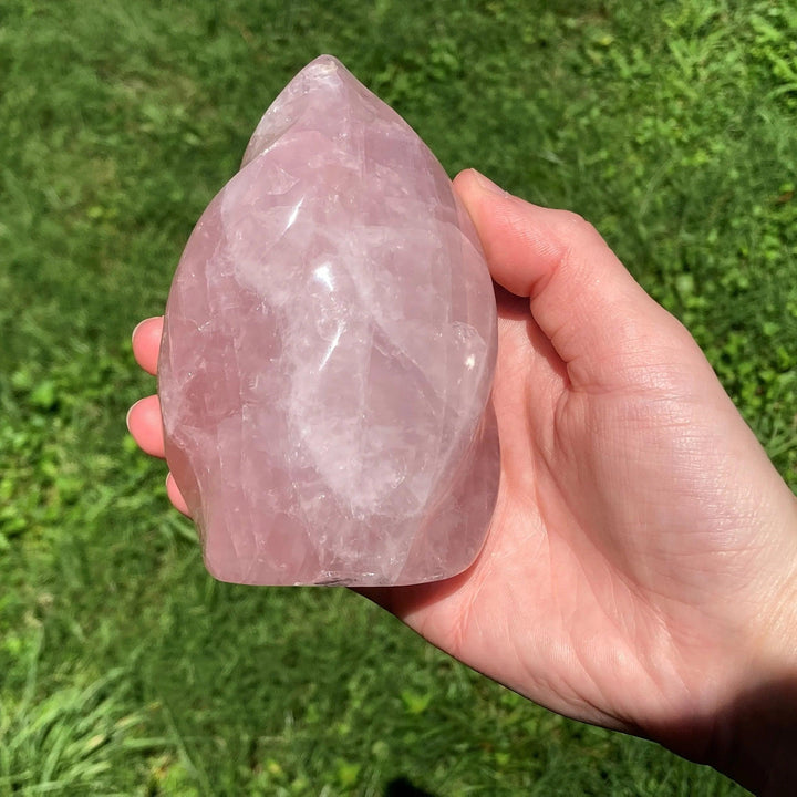 Hand holding a polished, soft pink Rose Quartz crystal torch tower with a tapered point, against green grass.