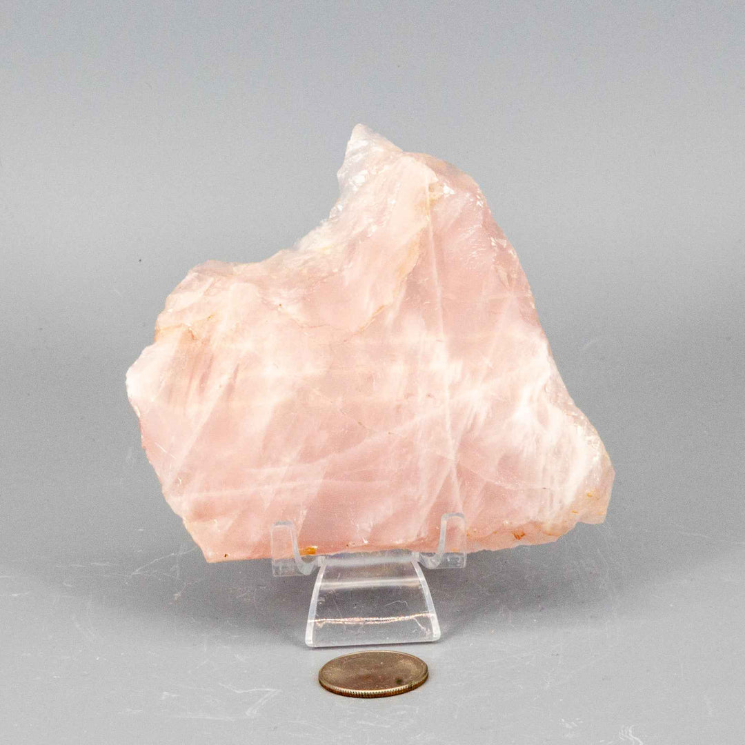 Polished Rose Quartz slice from Crystal Destiny, displaying soft pink hues on a clear stand with a coin for scale.
