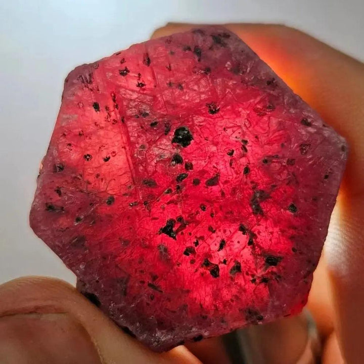 Fiery red raw ruby hexagon crystal, glowing with natural inclusions, held to showcase its powerful vitality.