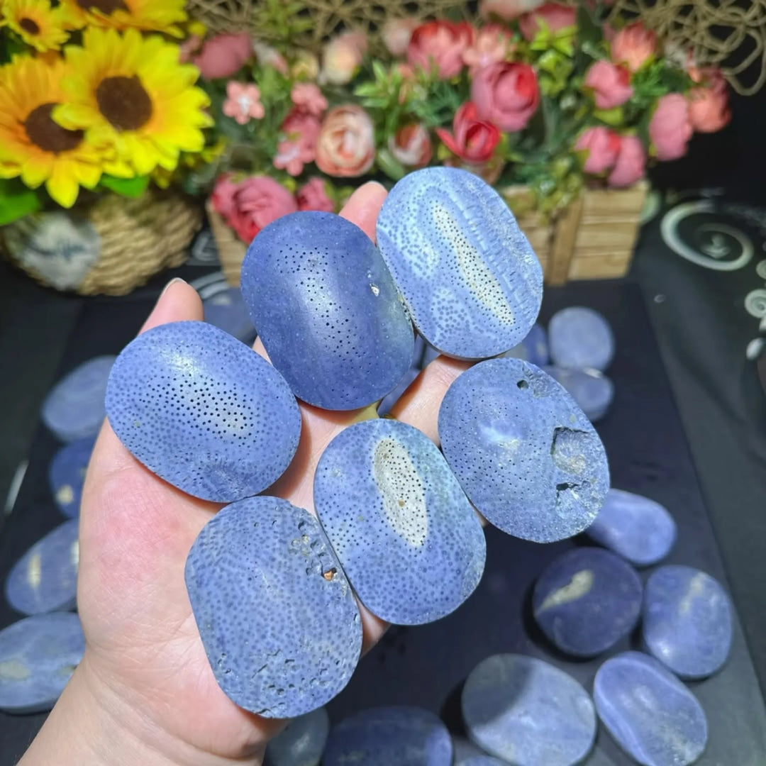Blue Coral Jasper Crystal Polished Palm Stone