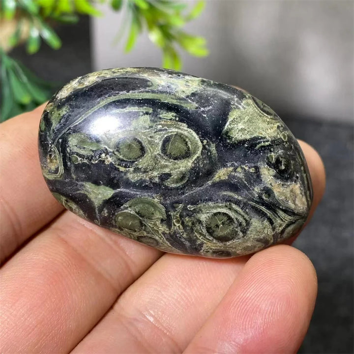 Natural Kambaba Jasper Crystal Polished Palm Stone