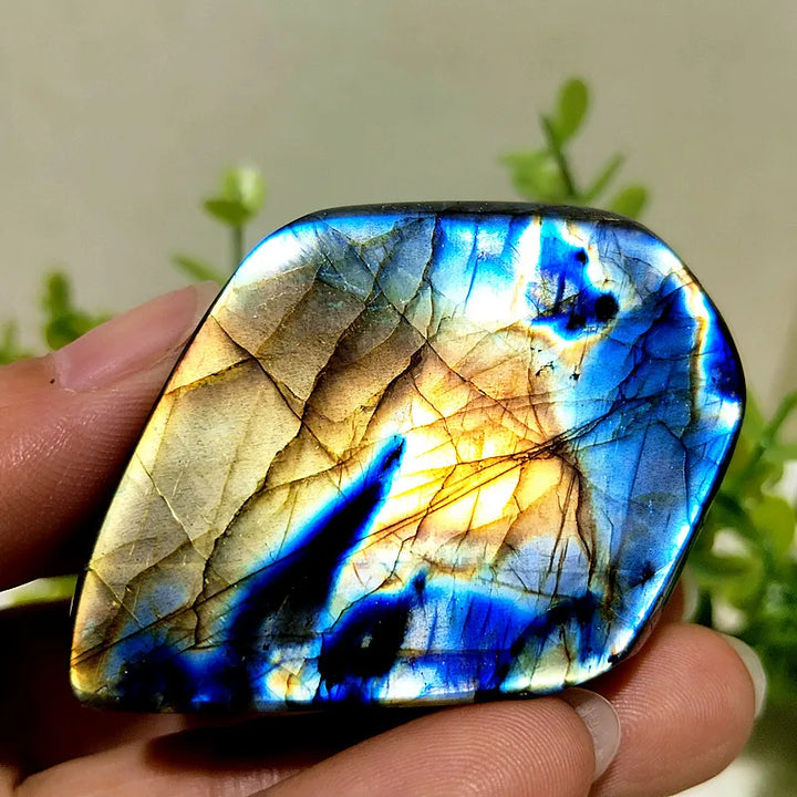 Labradorite Crystal Polished Freeform