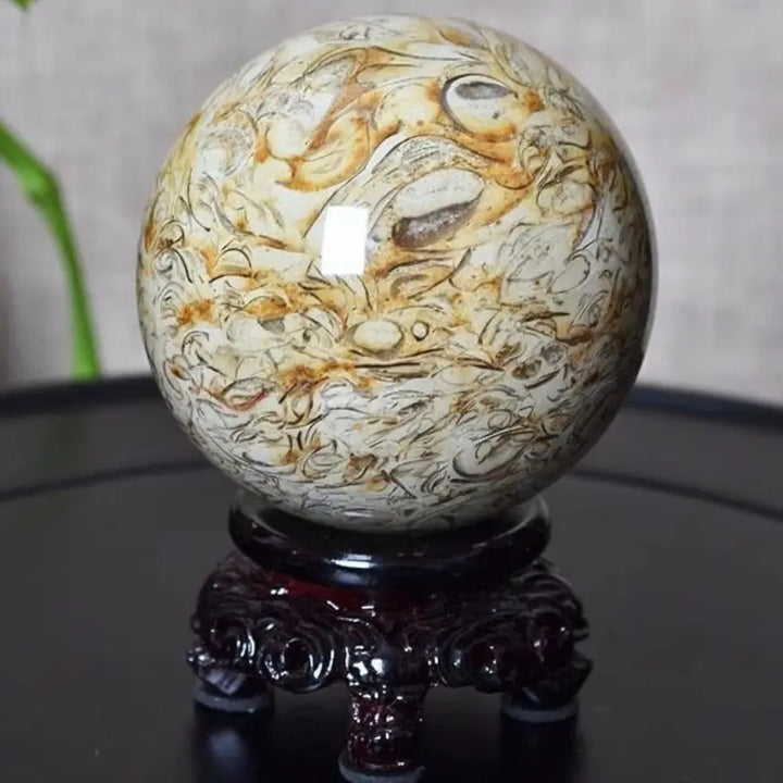 Natural Dinosaur Bone Agatized Crystal Sphere