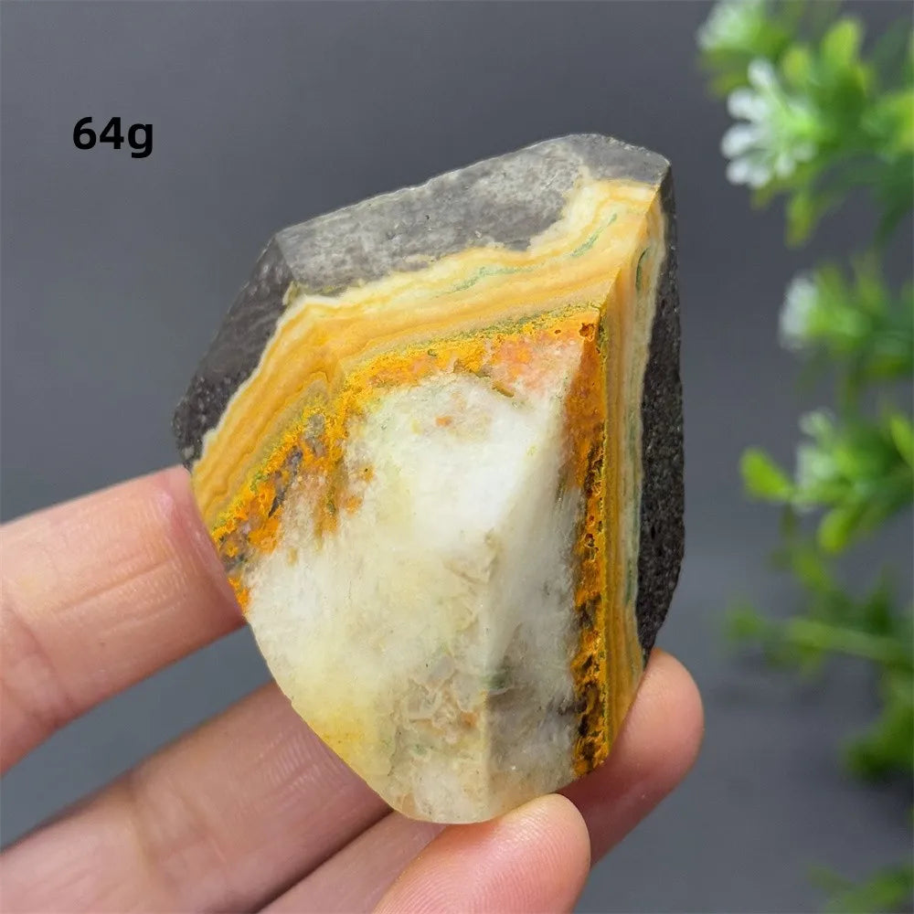 Bumblebee Jasper Crystal Freeform (Rare)