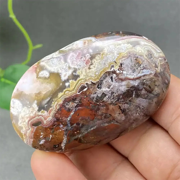 Crazy Lace Agate Palm Stone