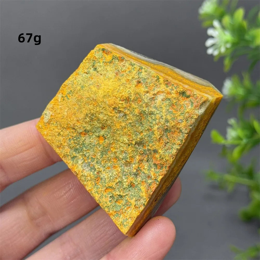 Bumblebee Jasper Crystal Freeform (Rare)