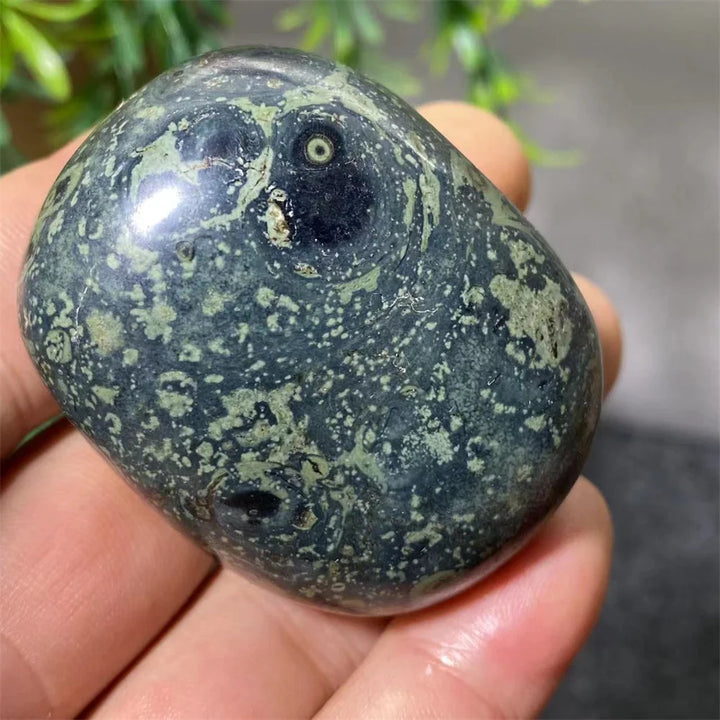 Natural Kambaba Jasper Crystal Polished Palm Stone