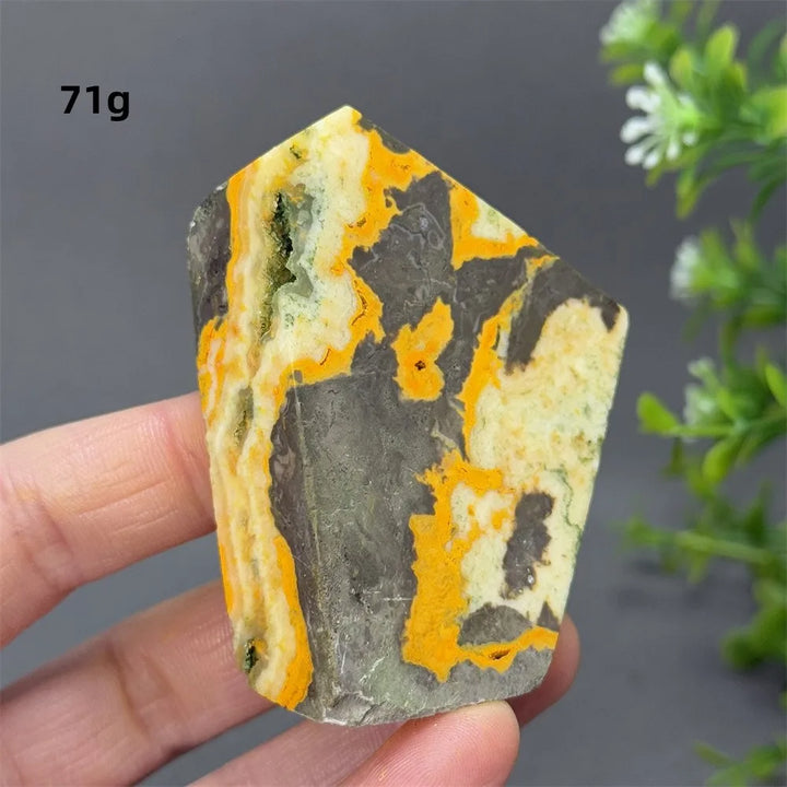Bumblebee Jasper Crystal Freeform (Rare)