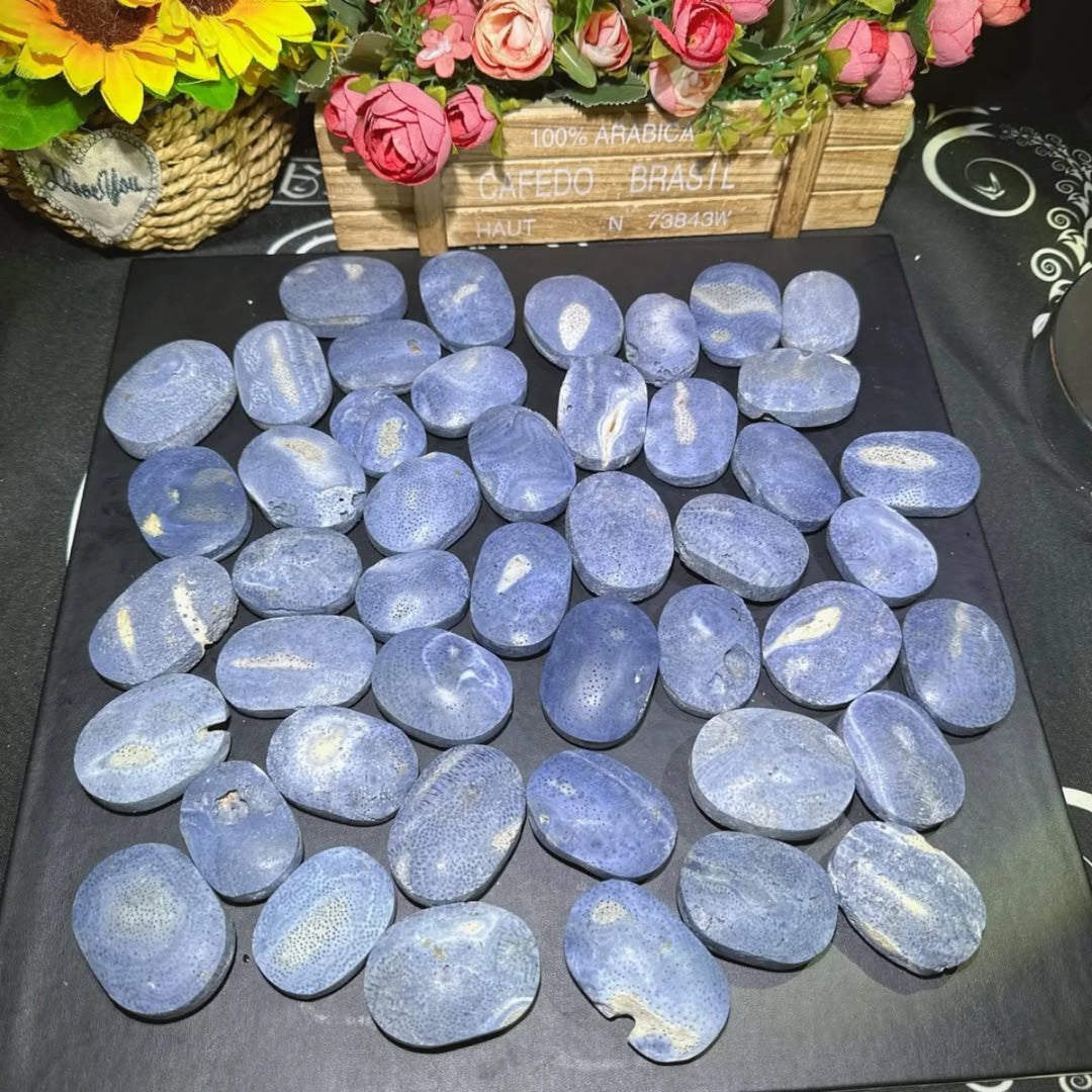 Blue Coral Jasper Crystal Polished Palm Stone