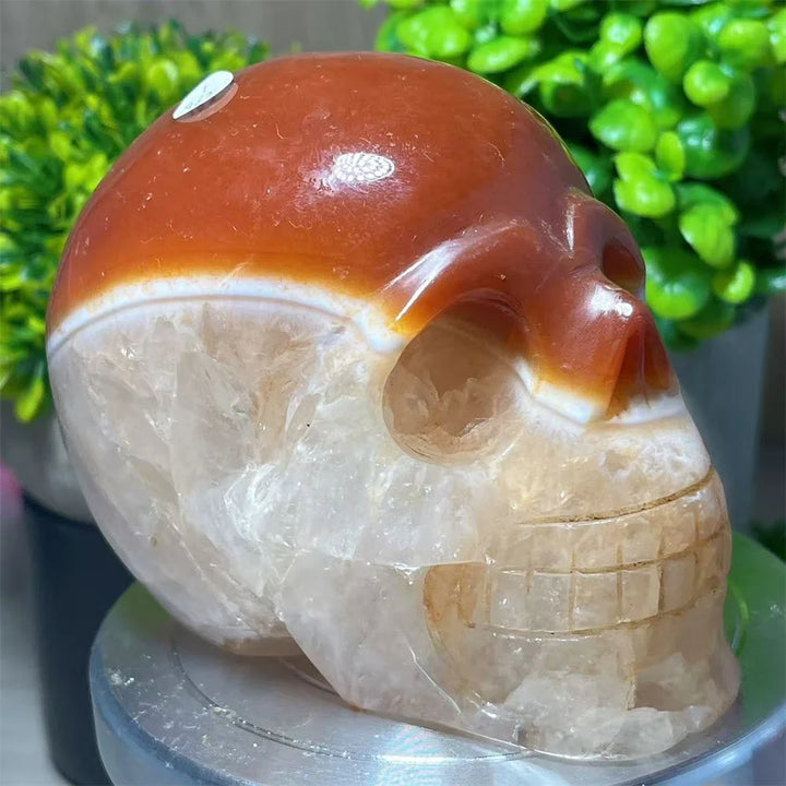 Carnelian & Quartz Crystal Carved Skull