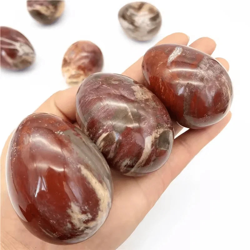 Petrified Wood Crystal Polished Egg Stone for Grounding