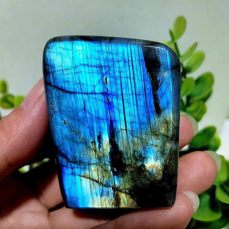 Labradorite Crystal Polished Freeform
