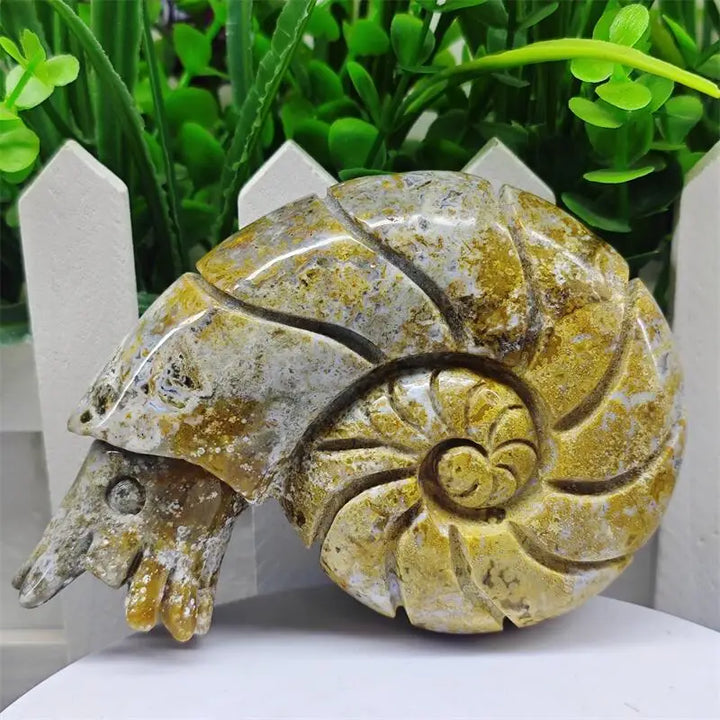 Ocean Jasper Crystal Carved Snail Conch Polished Sculpture