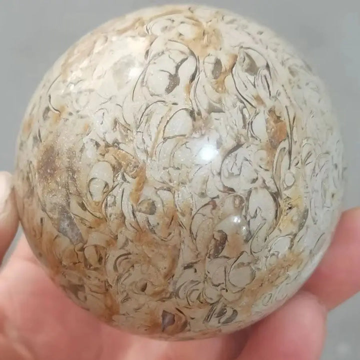 Natural Dinosaur Bone Agatized Crystal Sphere