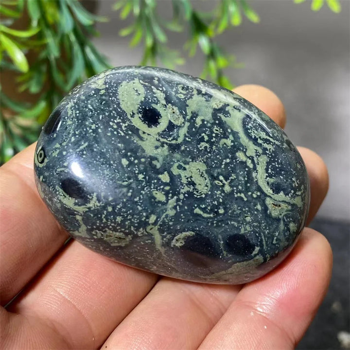 Natural Kambaba Jasper Crystal Polished Palm Stone