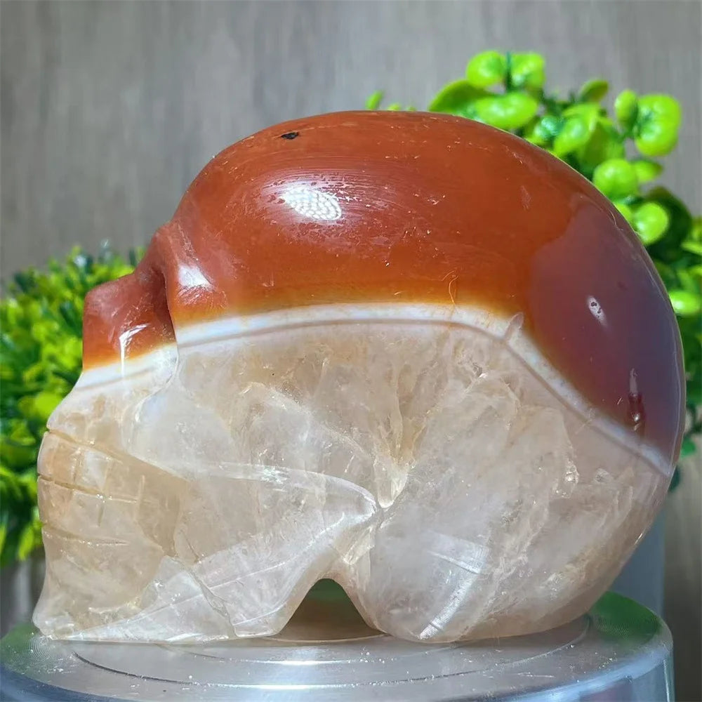 Carnelian & Quartz Crystal Carved Skull