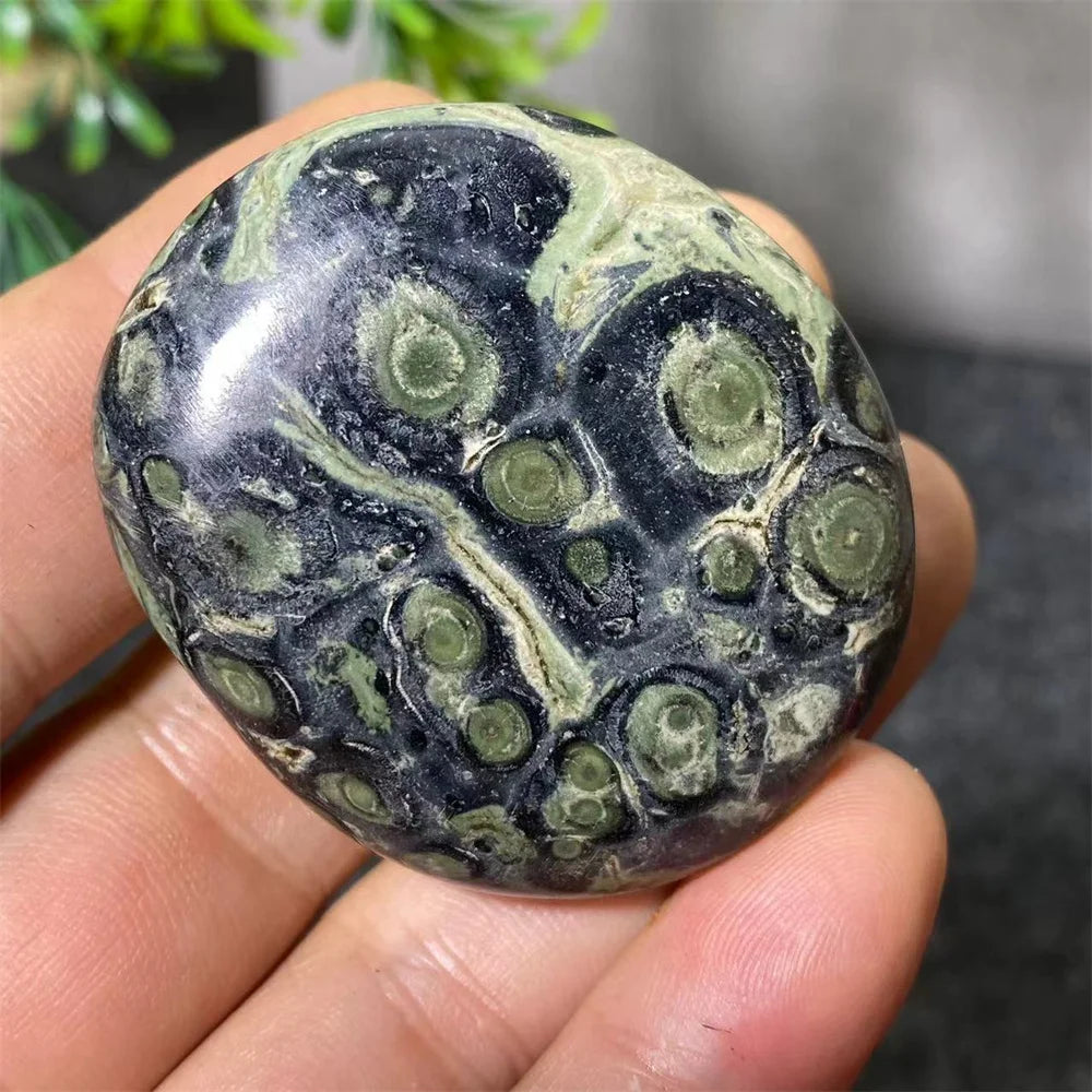 Natural Kambaba Jasper Crystal Polished Palm Stone