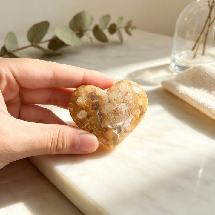 Fossilized Coral Jade Crystal Carved Heart