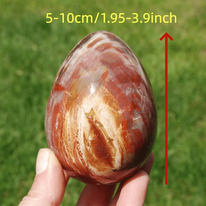Petrified Wood Crystal Polished Egg Stone for Grounding