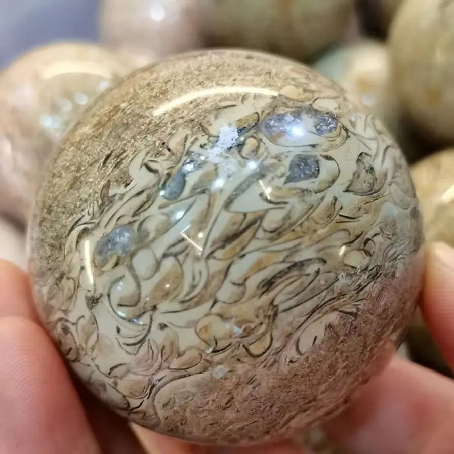 Natural Dinosaur Bone Agatized Crystal Sphere