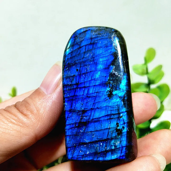 Labradorite Crystal Polished Freeform