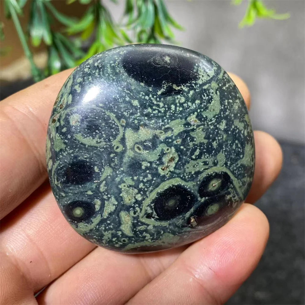 Natural Kambaba Jasper Crystal Polished Palm Stone