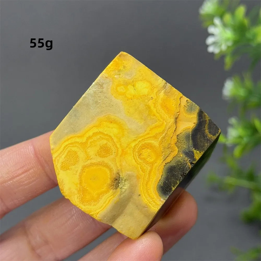 Bumblebee Jasper Crystal Freeform (Rare)