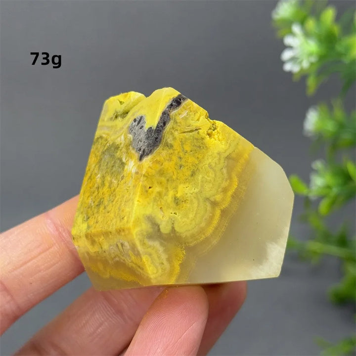 Bumblebee Jasper Crystal Freeform (Rare)