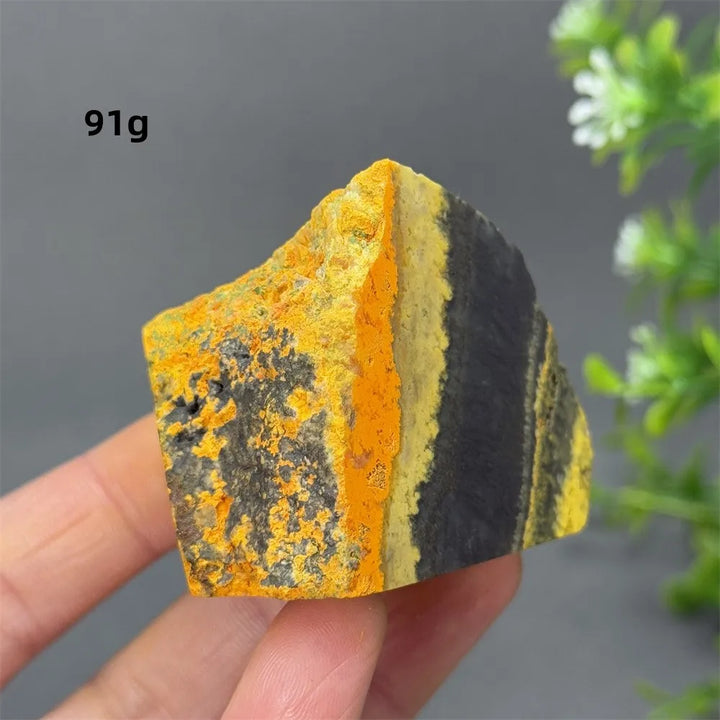 Bumblebee Jasper Crystal Freeform (Rare)