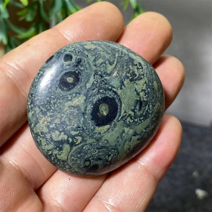 Natural Kambaba Jasper Crystal Polished Palm Stone