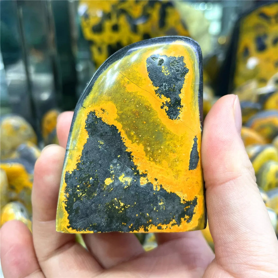 Bumblebee Jasper Crystal Polished Stone Freeform (Rare)