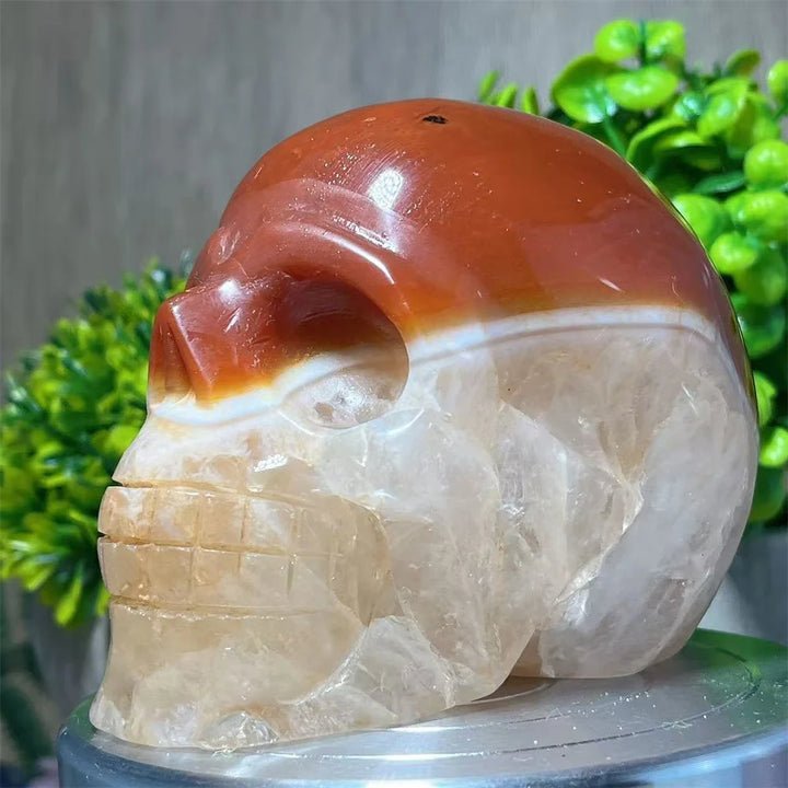 Carnelian & Quartz Crystal Carved Skull