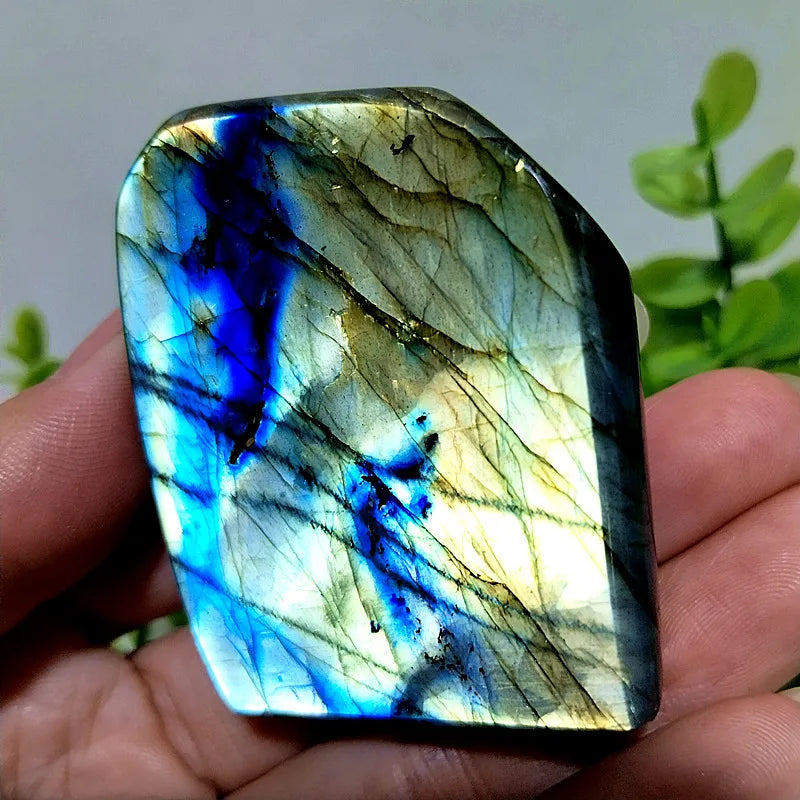 Labradorite Crystal Polished Freeform