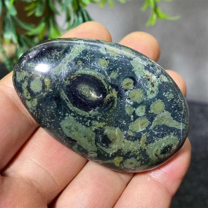 Natural Kambaba Jasper Crystal Polished Palm Stone